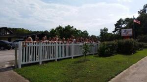 Houston Women fence